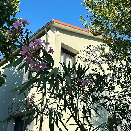 Casa Ermida Casa de Férias Pincaes