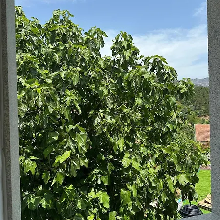 Casa de Férias Casa Ermida