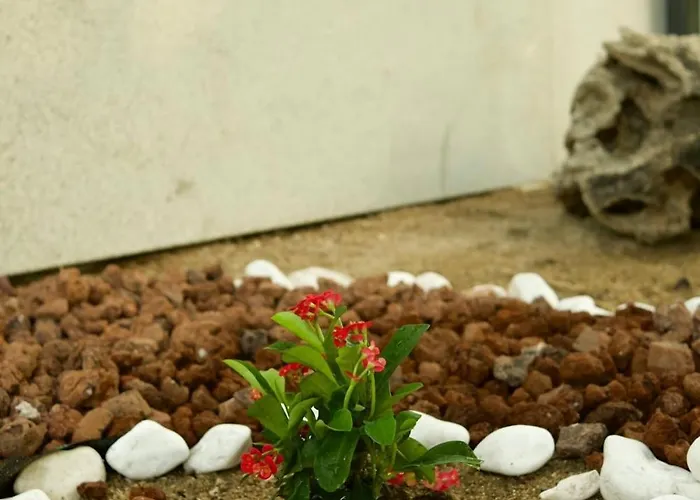 Casa Ermida Σπίτι διακοπών *