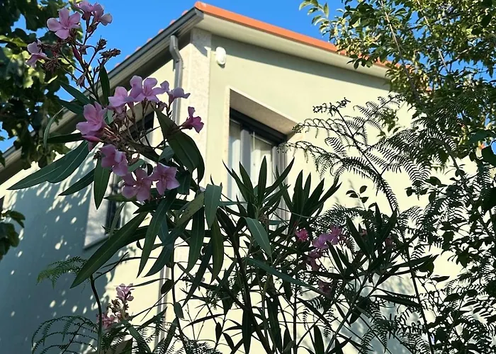 Casa Ermida Σπίτι διακοπών Pincaes