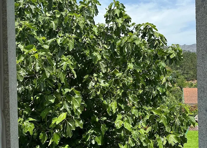 Σπίτι διακοπών Casa Ermida